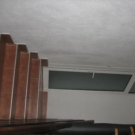 Spasevi